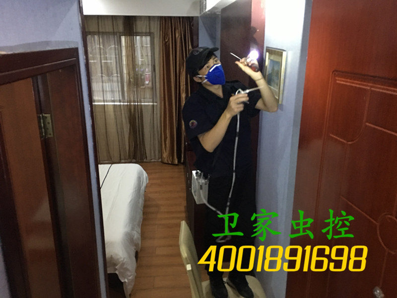 高明荷城白蚁防治所公司<为什么白蚁总是成群出现，且难以防治？