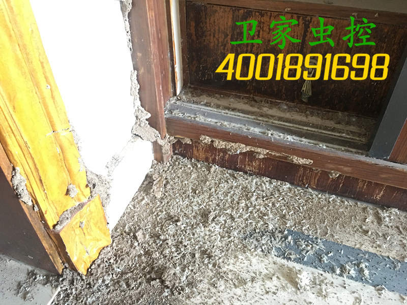 在新房的装修上需要考虑白蚁防治吗?