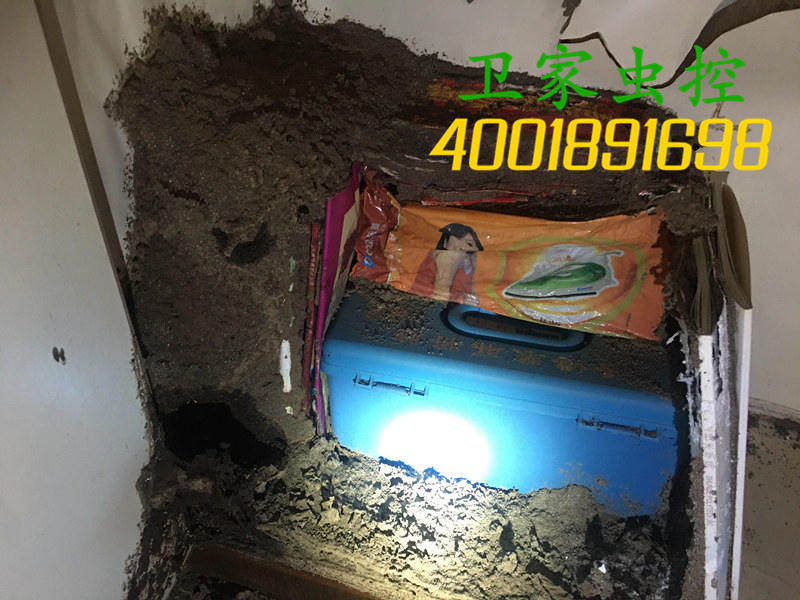 温馨提醒:切不可用杀虫剂喷杀、火烧、水冲等方法随意灭杀白蚁