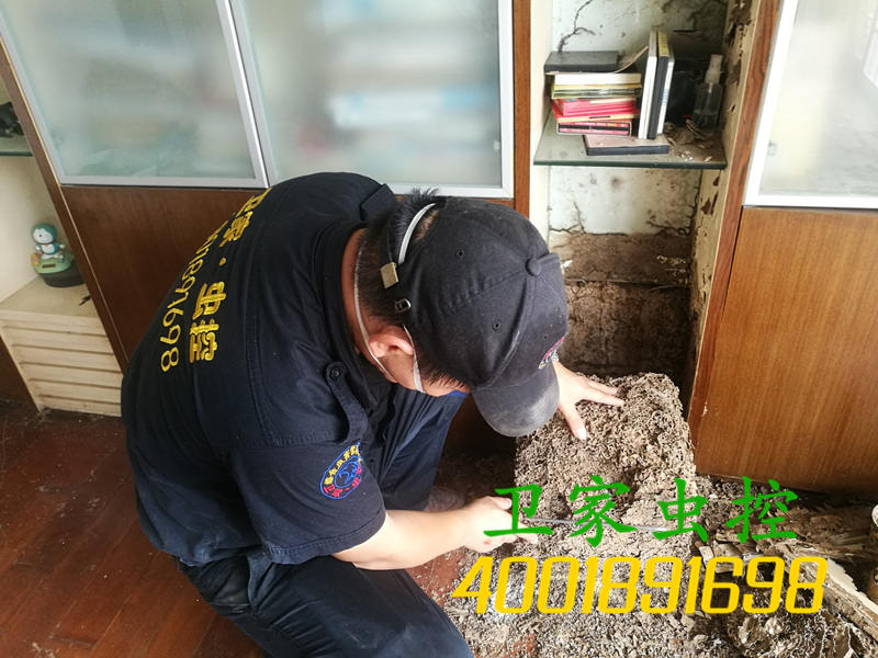 需要记住的白蚁的知识,白蚁预防和灭治通常主要分为四点